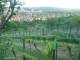 Feuerbach 10.05.2025 19:58