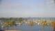 Saint Petersburg, Floride 29.04.2025 19:12