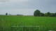 't Zandt 14.06.2025 19:58