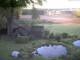 Schneverdingen 30.04.2025 19:47
