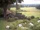 Schneverdingen 08.06.2025 19:47