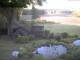 Schneverdingen 10.05.2025 19:47