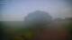 Schwinge 14.06.2025 19:58