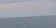 AIDAmar 11.07.2025 19:00