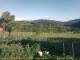 Cantalupo Ligure 08.07.2025 19:04