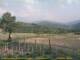 Cantalupo Ligure 08.06.2025 19:04