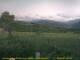 Cantalupo Ligure 06.07.2025 19:04