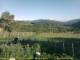 Cantalupo Ligure 07.07.2025 19:04