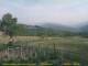Cantalupo Ligure 14.06.2025 19:04