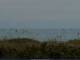Cape Canaveral, Florida 08.07.2025 19:47