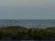 Cape Canaveral, Florida 10.07.2025 19:47