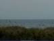 Cape Canaveral, Florida 08.06.2025 19:47