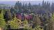 Bellevue, Washington 08.06.2025 19:26