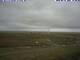 Hallig Hooge 08.06.2025 19:47