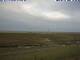 Hallig Hooge 14.07.2025 19:49