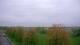 Shorewood, Illinois 30.04.2025 19:27
