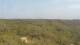 Moliets-et-Maa 08.06.2025 19:06