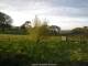 Dartmoor 30.04.2025 19:48