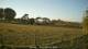 Dartmoor 25.04.2025 19:47