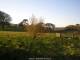 Dartmoor 29.04.2025 19:47