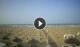 Rimini 08.06.2025 19:08