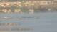 Balaruc-les-Bains 30.04.2025 19:11