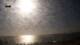 Carvalhal 07.07.2025 19:01
