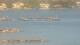 Balaruc-les-Bains 30.04.2025 19:11