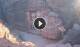 Petra 05.07.2025 19:11