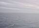 AIDAstella 04.06.2025 19:12