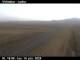 Víðidalur 14.06.2025 19:12