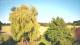Mandelsloh 11.06.2025 19:12