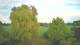 Mandelsloh 29.04.2025 19:12