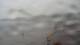 Bodø 14.06.2025 19:13