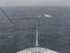 Costa Diadema 22.06.2025 19:13