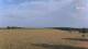 Berg am Starnberger See 14.06.2025 19:14