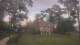 Richmond, Virginia 08.06.2025 19:34