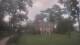 Richmond, Virginia 13.07.2025 19:34