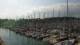 La Trinité-sur-Mer 15.03.2025 19:16