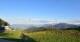 Nesselwang 30.04.2025 19:16
