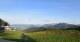 Nesselwang 29.04.2025 19:16