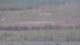 Les Landes-Genusson 14.06.2025 19:16