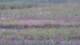Les Landes-Genusson 09.06.2025 19:16