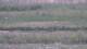 Les Landes-Genusson 08.05.2025 19:16