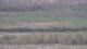 Les Landes-Genusson 08.05.2025 19:16