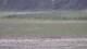 Les Landes-Genusson 16.03.2025 19:17
