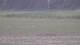 Les Landes-Genusson 10.05.2025 19:16