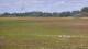 Les Landes-Genusson 14.07.2025 19:25