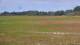 Les Landes-Genusson 05.07.2025 19:16