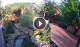 Gatlinburg, Tennessee 29.04.2025 19:18